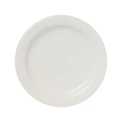 Lautanen 23cm