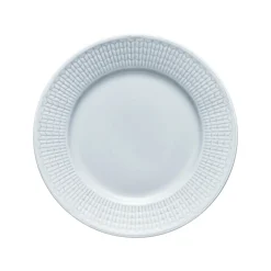 Lautanen 17cm jää